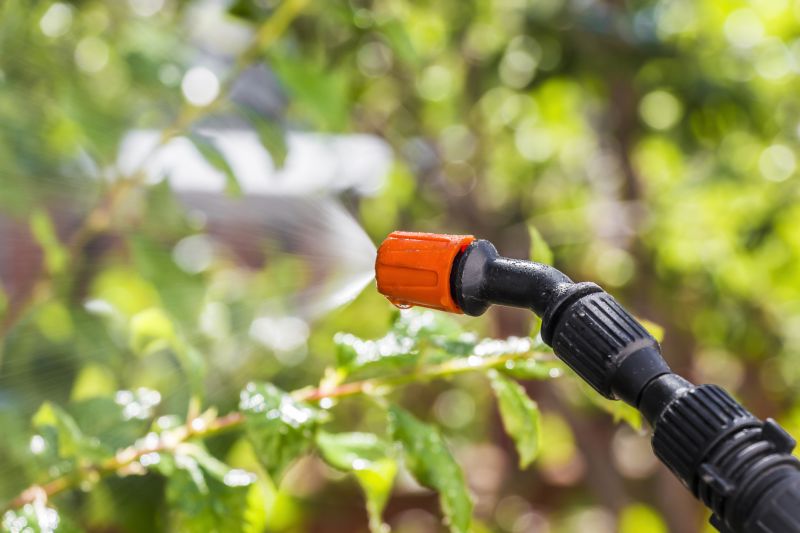 Lawn Insect Spraying in Frisco, TX