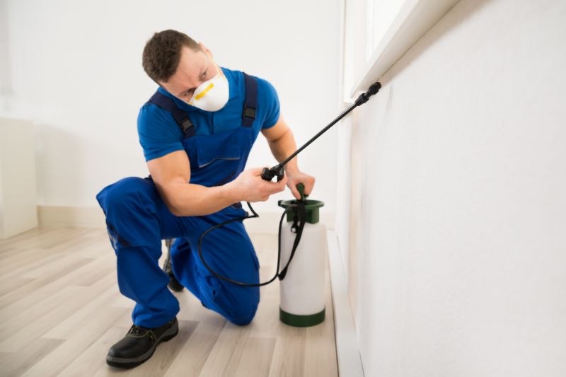 Bug Removal Service in Frisco, TX