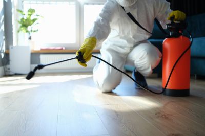 Common Spiders Extermination in Fort Worth, TX