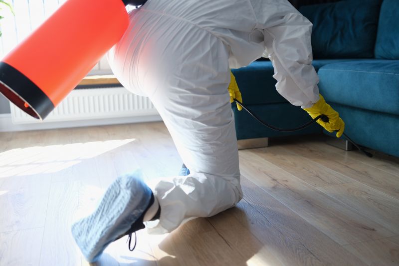 Insect Control Service in Arlington, TX