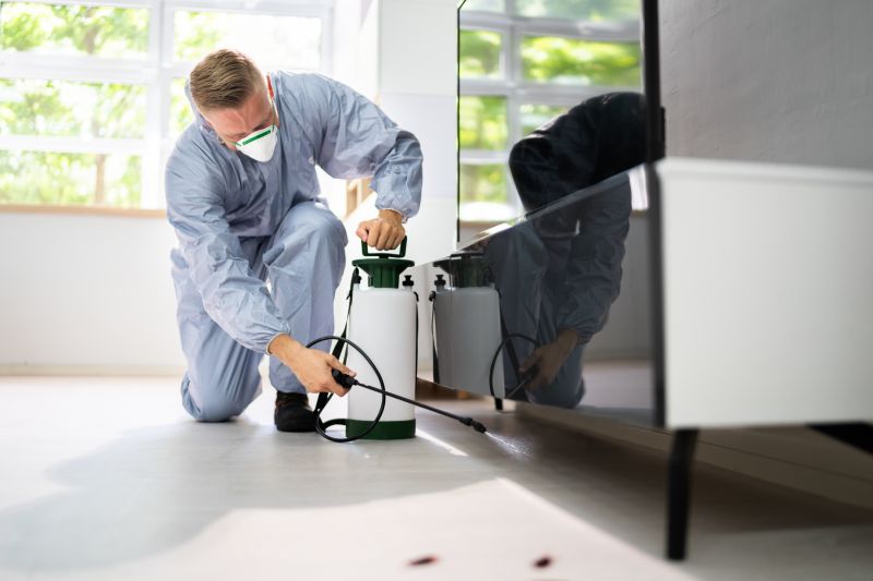Pest Treatment Service in Frisco, TX
