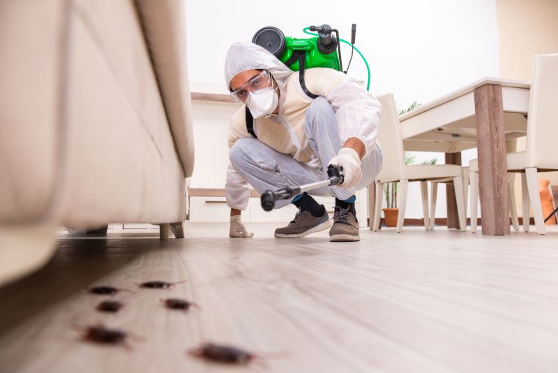 Residential Pest Control in Frisco, TX